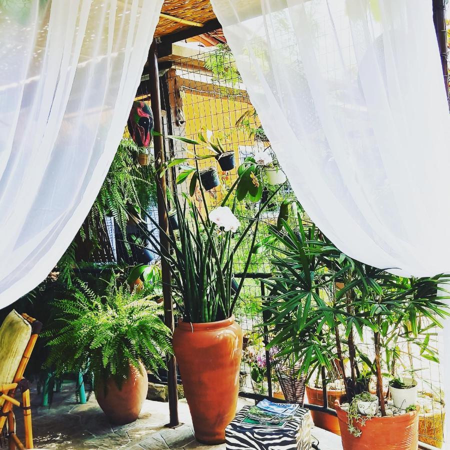 Recanto Toca Das Plantas De Ilhabela II Exteriör bild