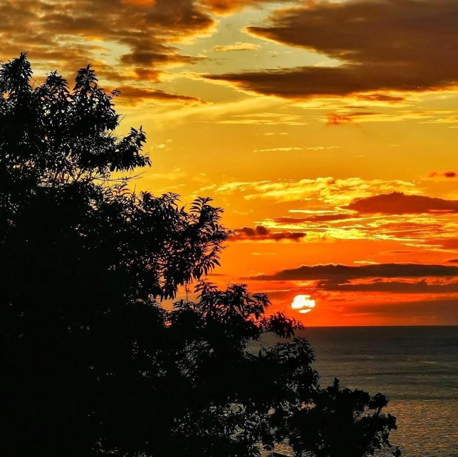 Recanto Toca Das Plantas De Ilhabela II Exteriör bild