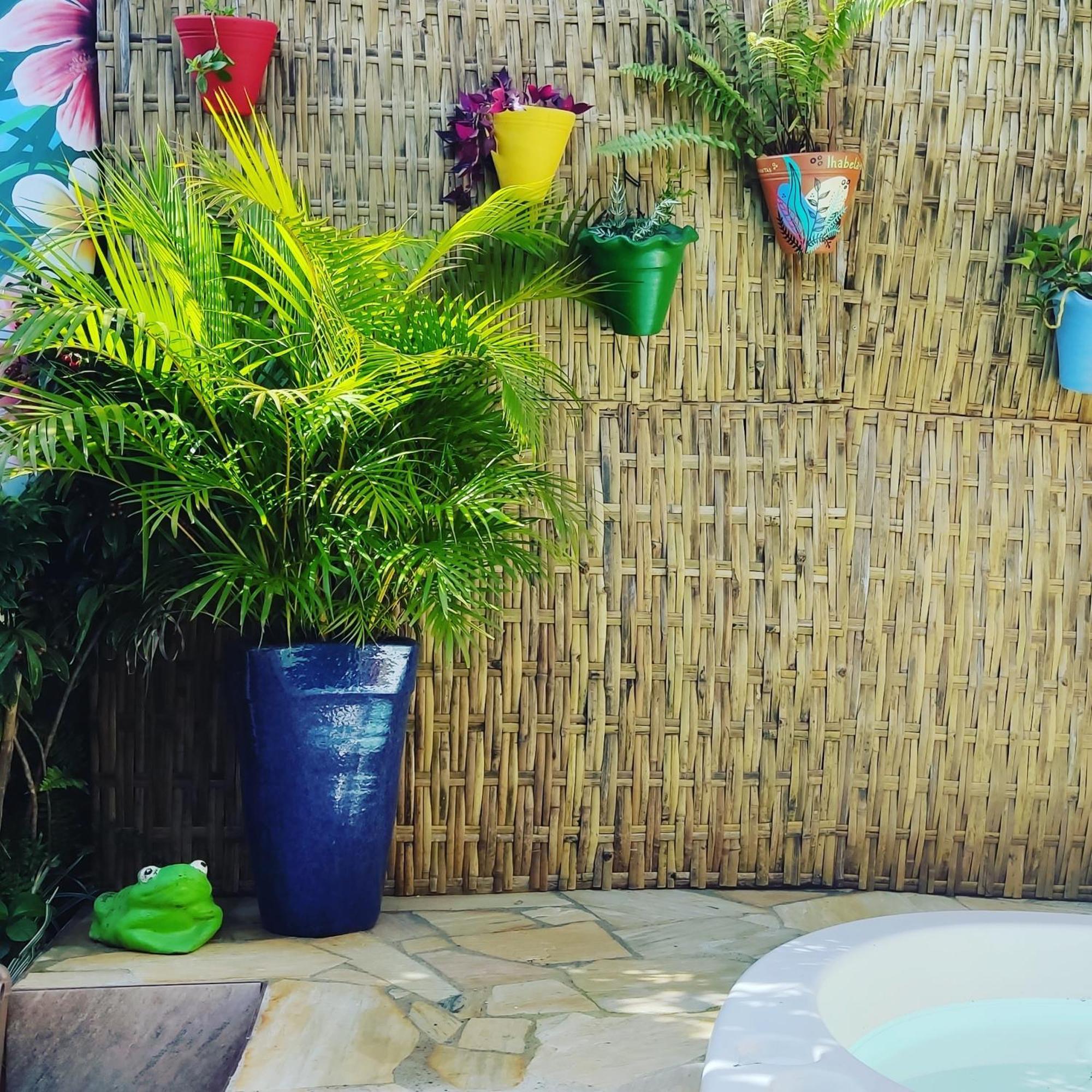 Recanto Toca Das Plantas De Ilhabela II Exteriör bild