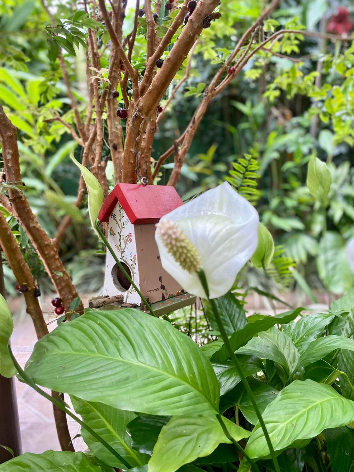 Recanto Toca Das Plantas De Ilhabela II Rum bild