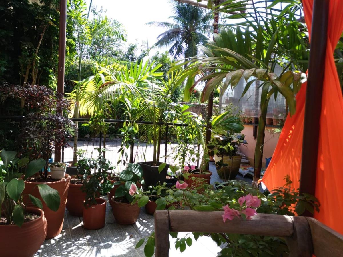 Recanto Toca Das Plantas De Ilhabela II Exteriör bild